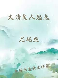 大清良人起点