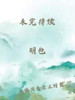未完待续
