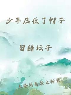 少年压低了帽子