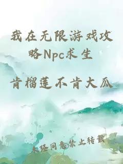 我在无限游戏攻略npc求生