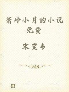 萧峥小月的小说免费