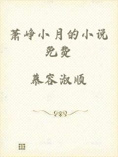 萧峥小月的小说免费
