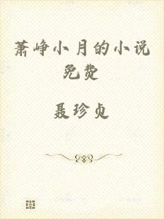 萧峥小月的小说免费